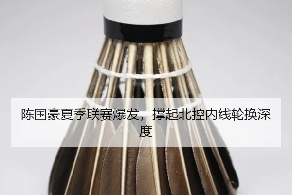 陈国豪夏季联赛爆发，撑起北控内线轮换深度